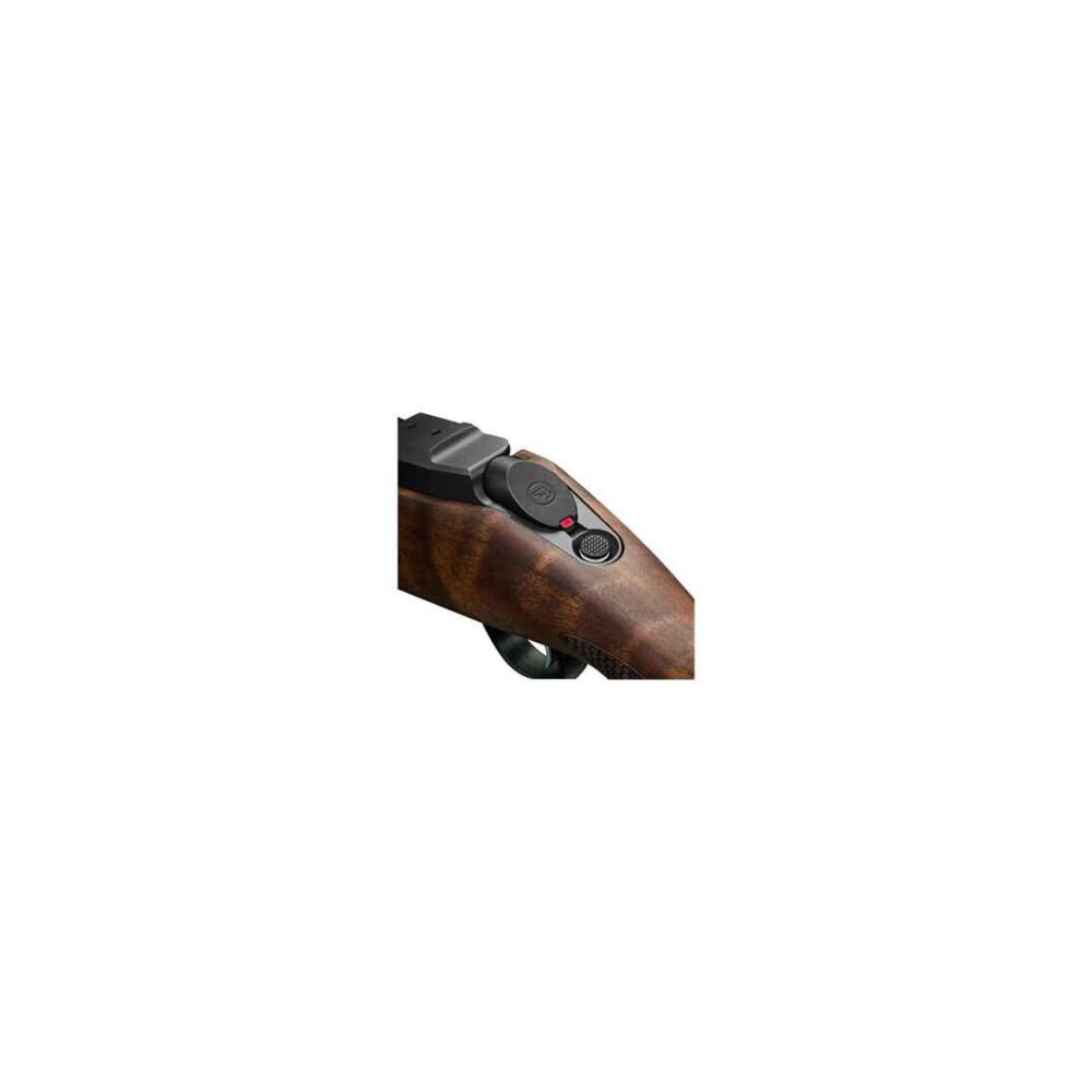 CZ600Lux_Sicherung CZ600Lux_Sicherung