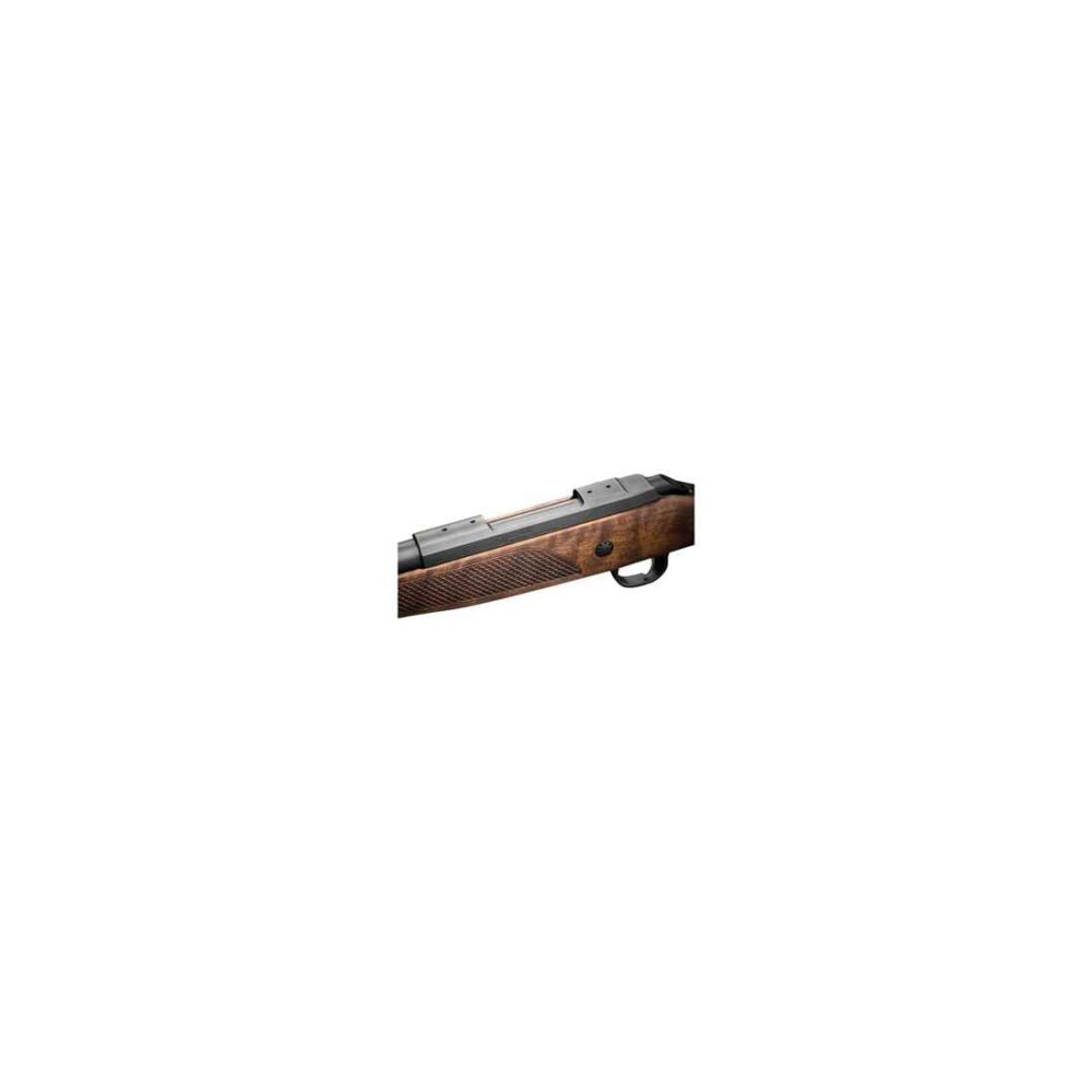 CZ600Lux_oben CZ600Lux_oben